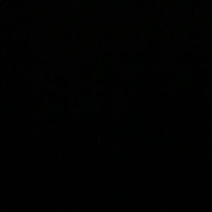 Meet your Posher, Daisy